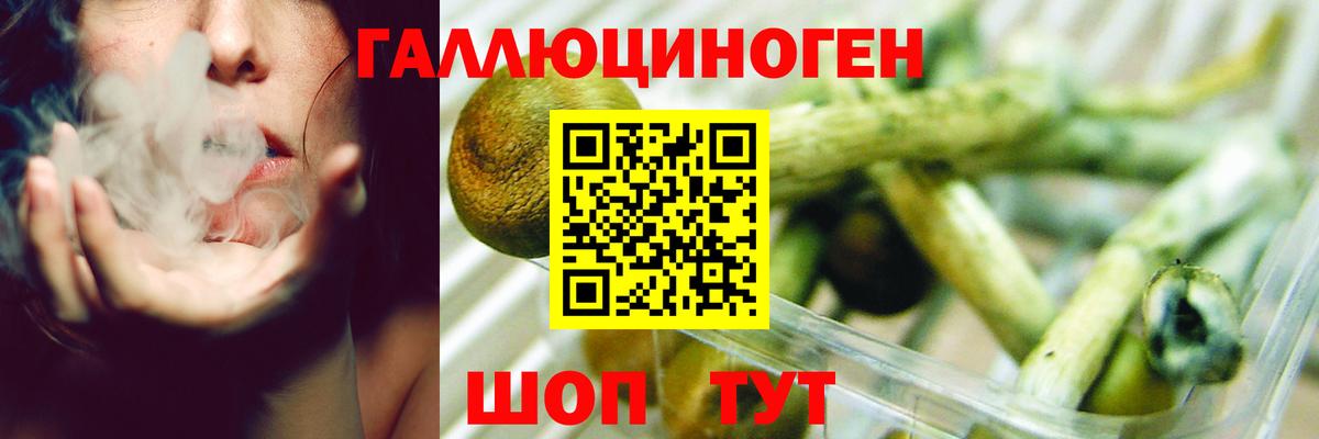 Псилоцибиновые грибы мицелий Канаш